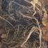 20130110022829-sharifzadeh_negin_01
