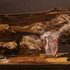 20130110023220-sharifzadeh_negin_06
