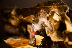 20130110023314-sharifzadeh_negin_07