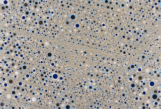 Circle Cell,Andrea Way