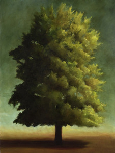 20100823150256-tree01
