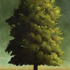 20100823150256-tree01