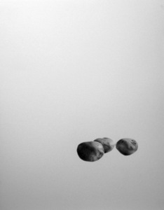 20130111035151-potato-_full