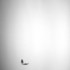 20130111035253-laurel_leaves