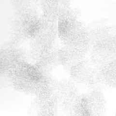 Hydrangea 10,Jessica Curtaz