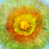 20130111182824-abstract-x3497