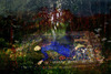 20130112001711-astrba_nyima_535-012_72dpi_2