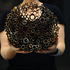 20130112041414-lace_like_pod