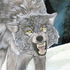 20130112125802-doyoufeellucky