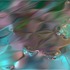 20130112223224-image