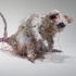 20130113211437-rat_1__d_