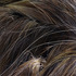 20130114033006-grasslands-iii