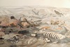 20130114180301-dried_up_ocean