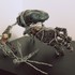 20130115072000-joesph_umali_fernandez