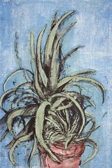 New Mexican Aloe,Jim Dine