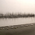 20130116223852-stick2