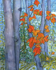 MAPLES,Rob Zeer