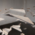 20130116230457-detail13