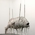 20130116230953-fish62