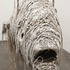 20130116231616-_mg_8781