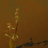 20130117000656-kdoner_wabisabi_ikebana