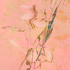 20130117000921-kdoner_wi_study_5