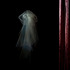 20130117083554-trace_of_the_trac13_b