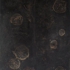 Nastursium
