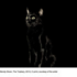 20130117163854-image01