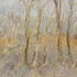 20130117171936-wood-near-tailladet-dordogne