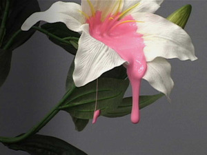 20130118031936-lily_bg
