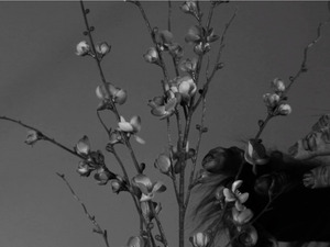 20130118033853-greenstick_bg