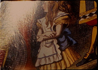 from Curious Light,Charlotte Pryce