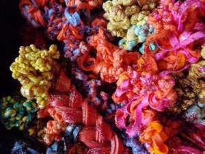 20130118043708-golden-fleece-detail-1