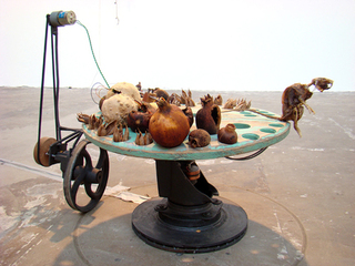  Seeds Make My Day ,Christiaan Zwanikken