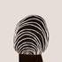 20130119020356-ipcny_jebah_baum_stone_high_res