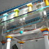 20130119030414-diaphanous_geithner-from_below