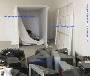 20130119052900-4-01-shwebcentre-lg