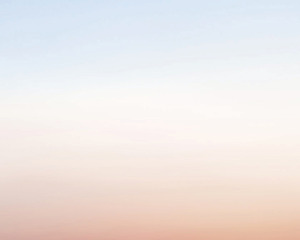 Untitled (Predator Drone),Trevor Paglen