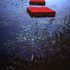 20130119173235-bettina_werner
