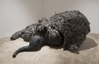 No Title (from \'Become the Wind\'),Sakshi Gupta