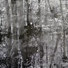 20130120234653-yuasa_-_the_world_without_words_-_courtesy_of_tag_fine_arts_1