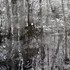 20130120234653-yuasa_-_the_world_without_words_-_courtesy_of_tag_fine_arts_1