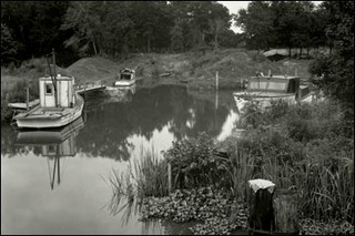  Contraband Bayou, Louisiana,Edward Weston