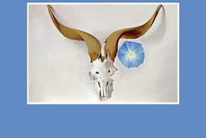 20130121014359-hero-okeeffe