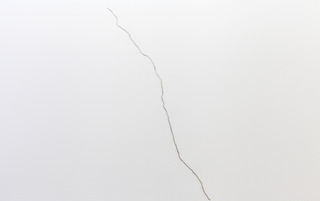 Manicured Fields of Failure ,Michael Genovese