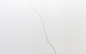20130121194000-1_ohwow_genovese_manicuredfieldsoffailure