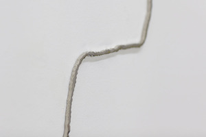 20130121194401-5_ohwow_genovese-prime_detail