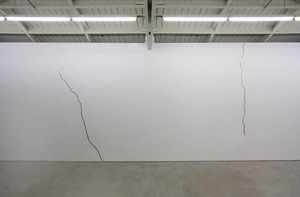 20130121194622-6_ohwow_genovese_installation_view