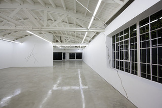 Lines and Cracks and Zebras and Horses Installation View ,Michael Genovese